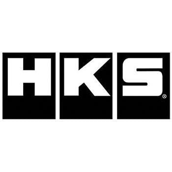 HKS Power Co