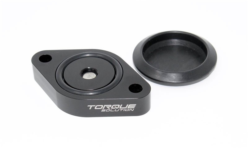 Torque Solution Sound Symposer Delete Ford Focus ST 2013+ - Dirty Racing Products